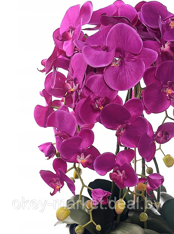Цветочная композиция из орхидей в горшке 95 см - фото 6 - id-p144890692