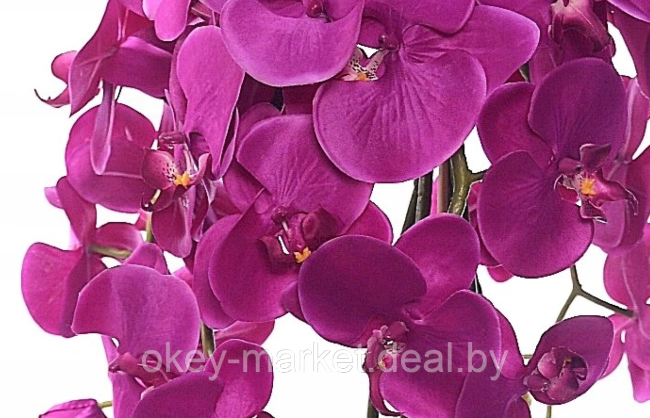 Цветочная композиция из орхидей в горшке 95 см - фото 7 - id-p144890692