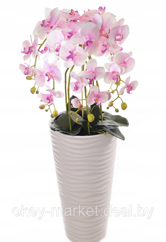 Цветочная композиция из орхидей в горшке 95 см - фото 1 - id-p144896531