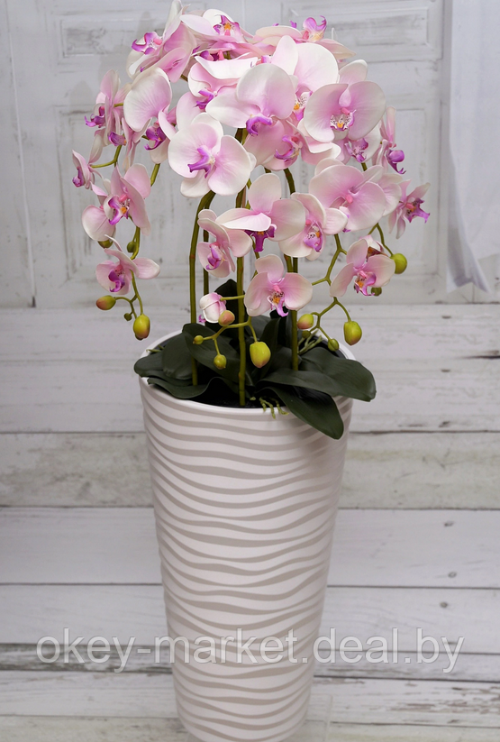 Цветочная композиция из орхидей в горшке 95 см - фото 2 - id-p144896531