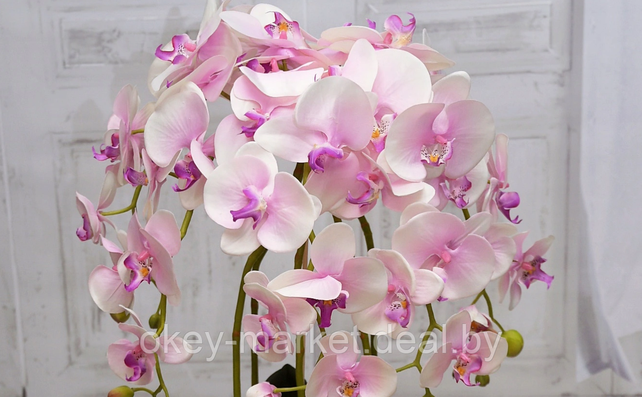 Цветочная композиция из орхидей в горшке 95 см - фото 4 - id-p144896531