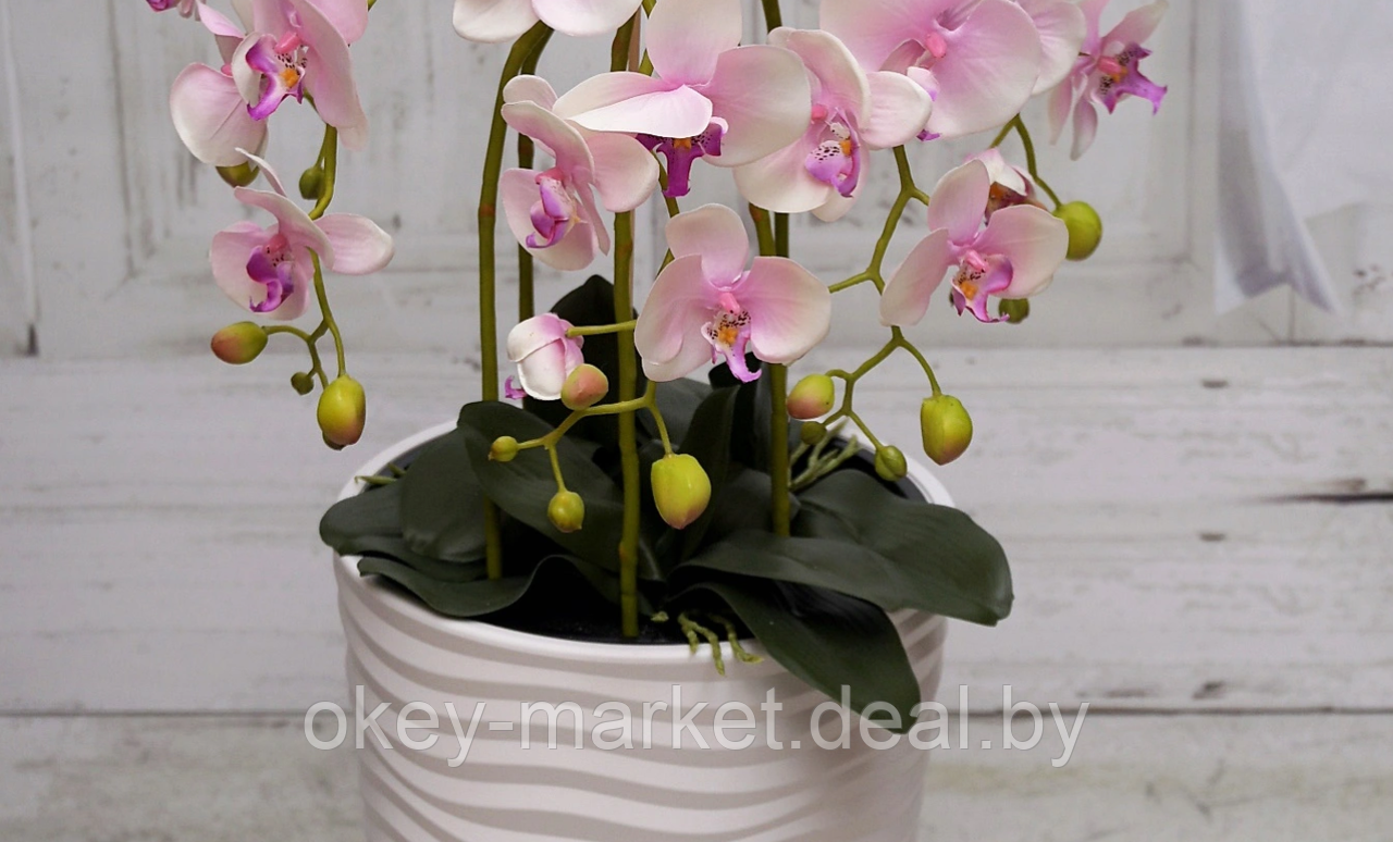 Цветочная композиция из орхидей в горшке 95 см - фото 5 - id-p144896531