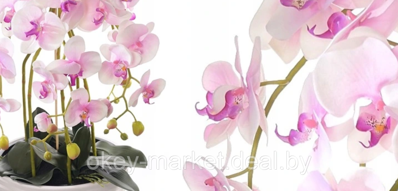 Цветочная композиция из орхидей в горшке 95 см - фото 6 - id-p144896531