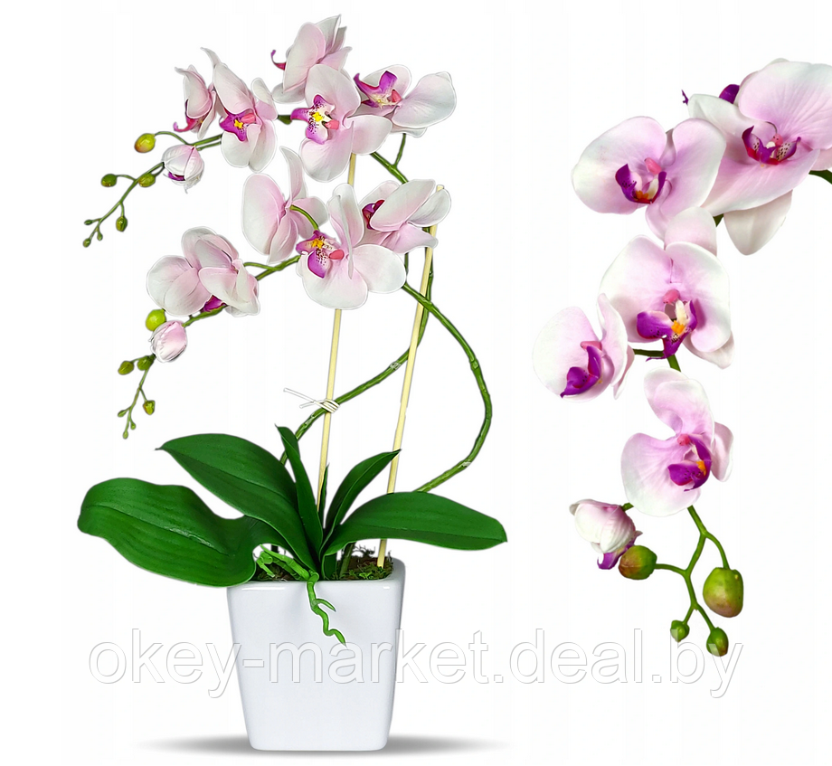 Цветочная композиция из орхидей в горшке R004, фото 2
