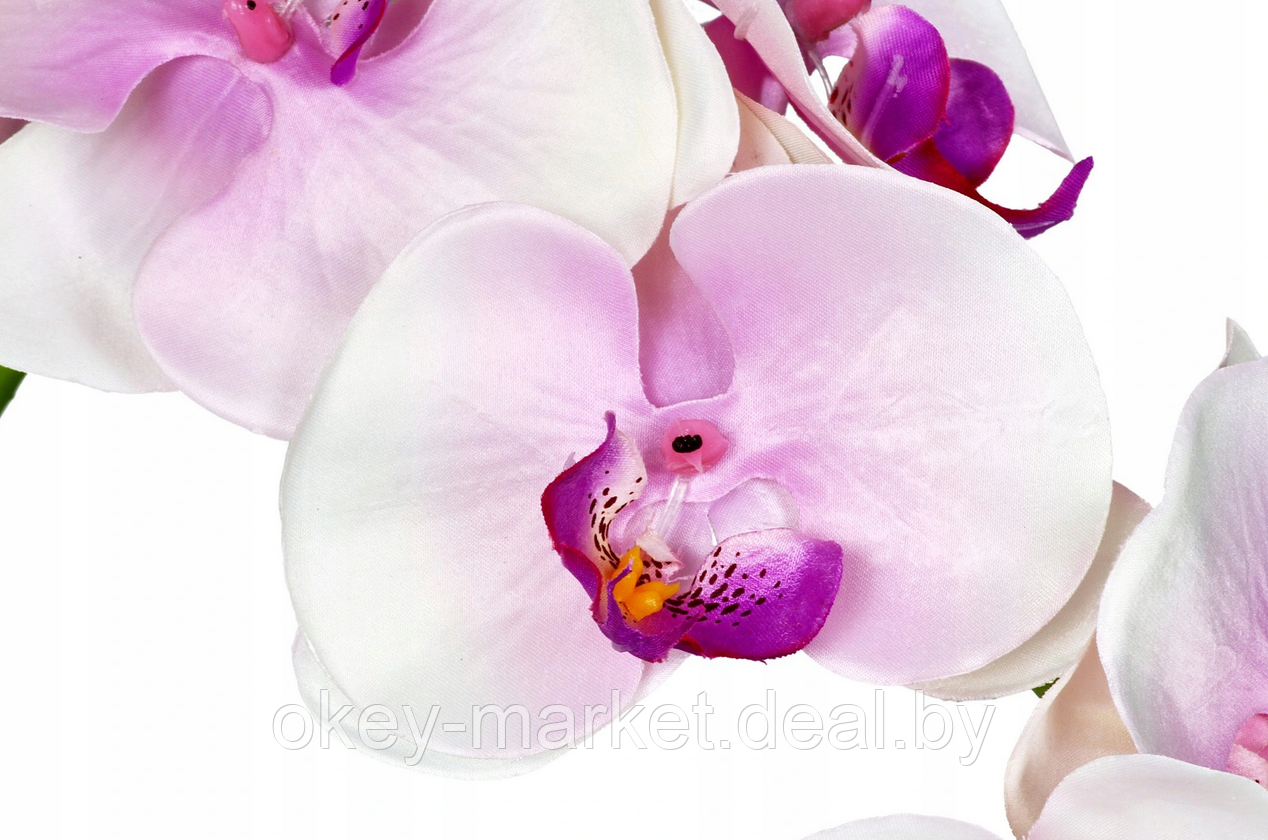 Цветочная композиция из орхидей в горшке R004 - фото 2 - id-p134736761