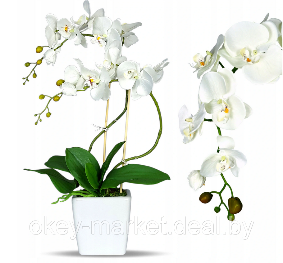 Цветочная композиция из орхидей в горшке R004 - фото 3 - id-p134736761