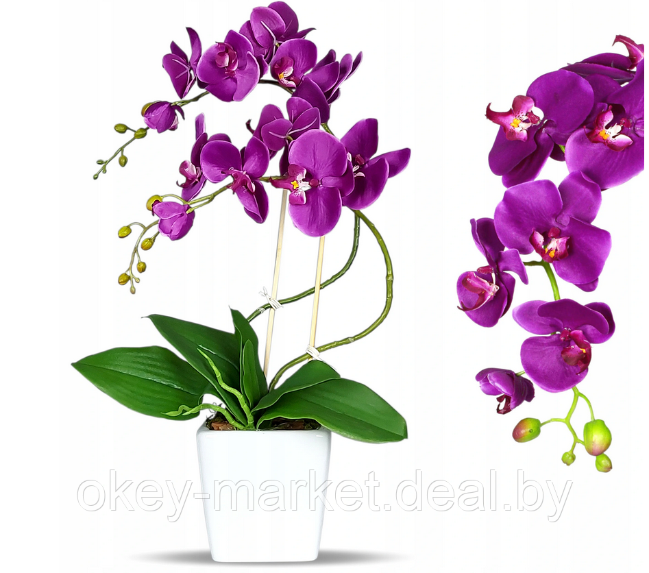 Цветочная композиция из орхидей в горшке R004 - фото 5 - id-p134736761