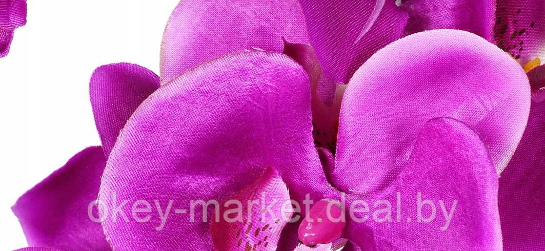 Цветочная композиция из орхидей в горшке R004 - фото 6 - id-p134736761