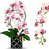 Цветочная композиция из орхидей в горшке R051, фото 3