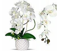 Цветочная композиция из орхидей в горшке B062