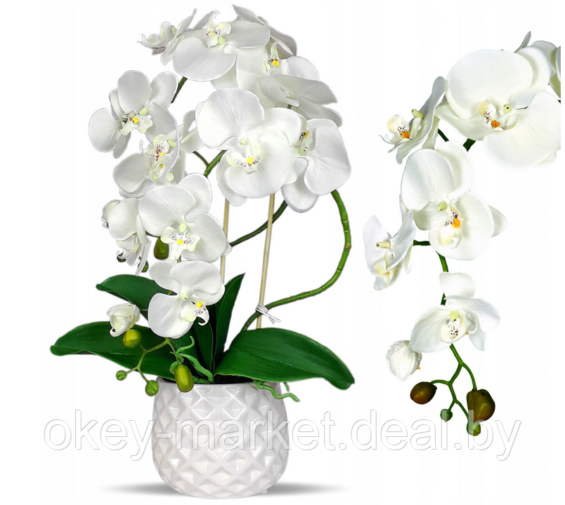 Цветочная композиция из орхидей в горшке B062, фото 2