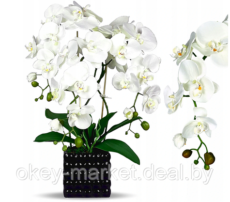 Цветочная композиция из орхидей в горшке B039, фото 3
