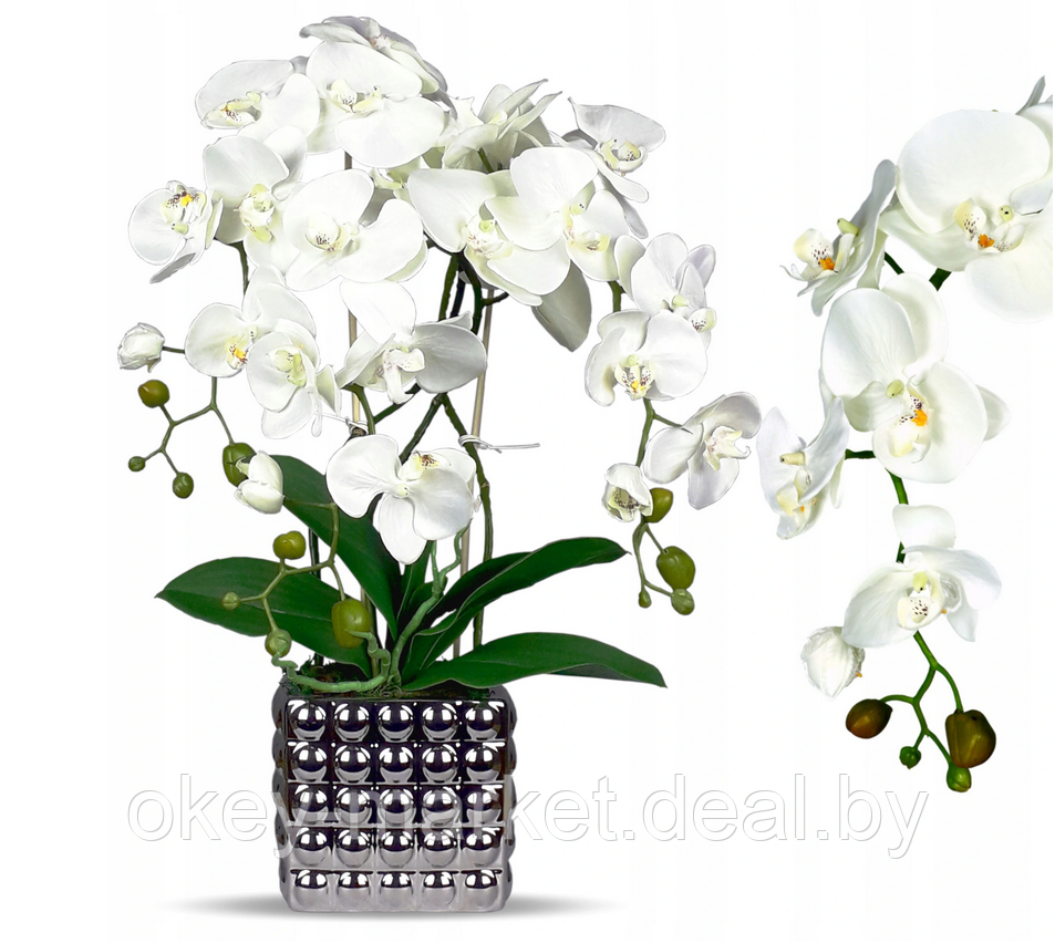 Цветочная композиция из орхидей в горшке B039 - фото 1 - id-p71910524