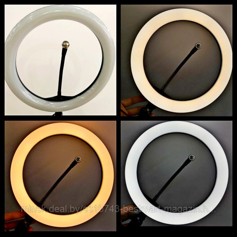 16см ЛАМПА +ШТАТИВ +Пульт +Держатель телефона | LED Ring Fill Light Кольцевая - фото 6 - id-p144295254