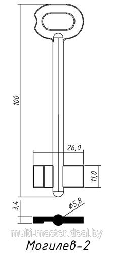 	Могилев-2 100x11x5.8мм лат.