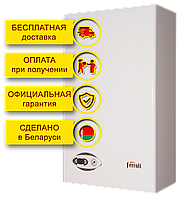 Газовый котёл Ferroli Divabel F24 двухконтурный, Беларусь