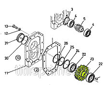 5592-30-2003; Шестерня