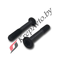 Винт torx крепления втягивающего реле стартера VAG 035911299B; Bosch 1003421016, 1003421008, 1003421020;