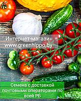 Семена овощей, пряных трав, зелени, цветов с доставкой почтовыми операторами по всей территории Беларуси