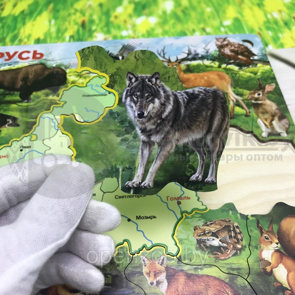 Деревянный пазл Карта Беларуси животные и области, 21 элемент, толщ.06 мм - фото 3 - id-p145311081