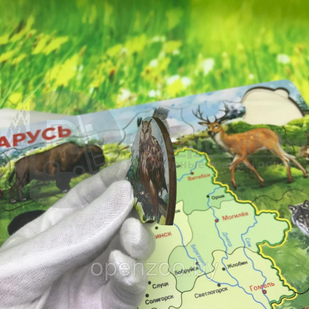 Деревянный пазл Карта Беларуси животные и области, 21 элемент, толщ.06 мм - фото 7 - id-p145311081