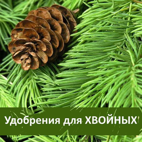 Удобрения для Хвойных