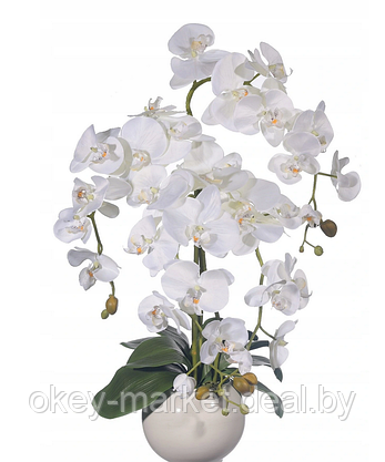 Цветочная композиция из орхидей в горшке R-102, фото 2