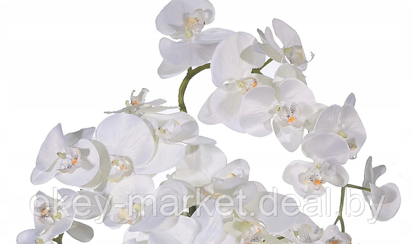 Цветочная композиция из орхидей в горшке R-102, фото 3