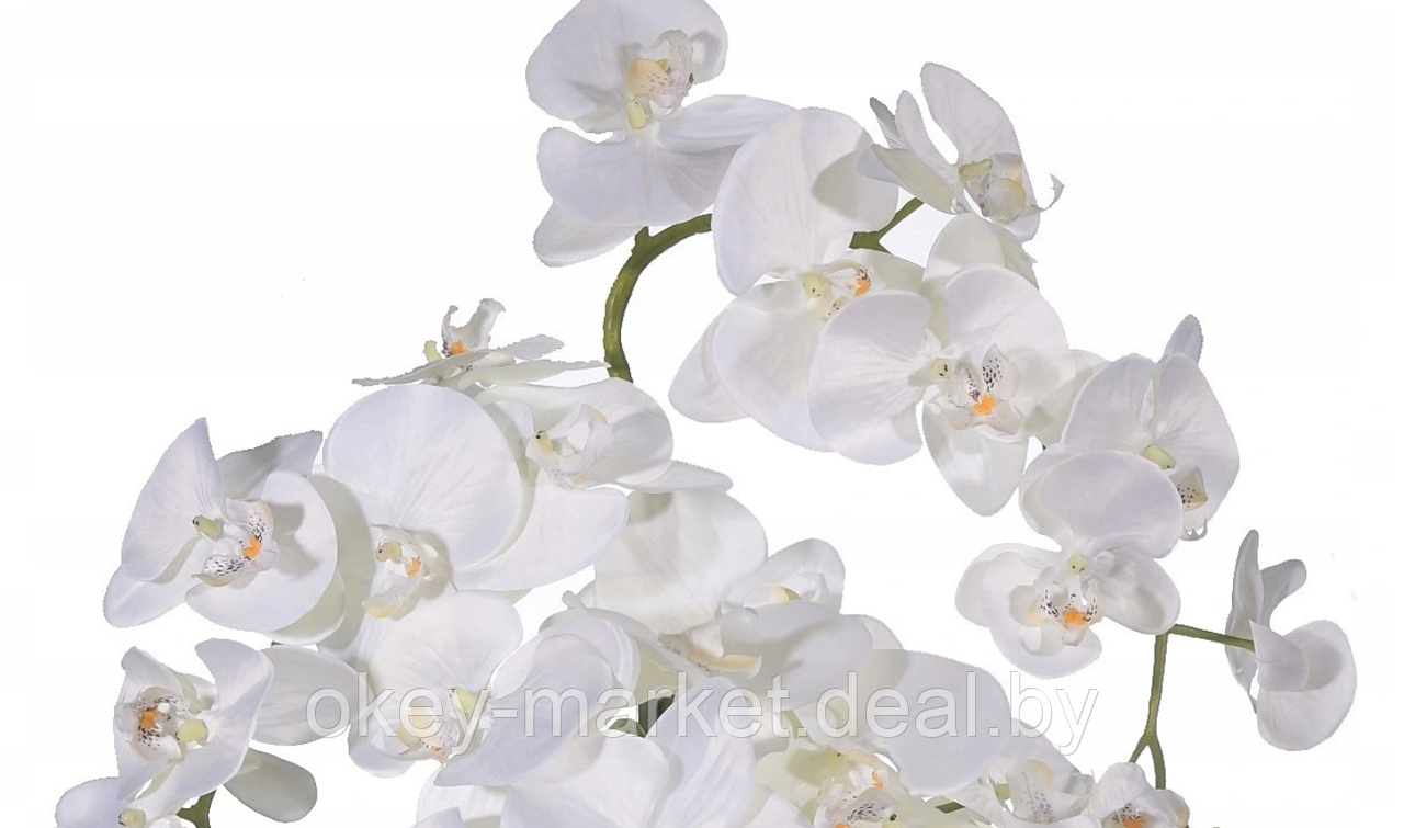 Цветочная композиция из орхидей в горшке R-102 - фото 5 - id-p145362242