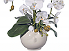 Цветочная композиция из орхидей в горшке R-102, фото 3