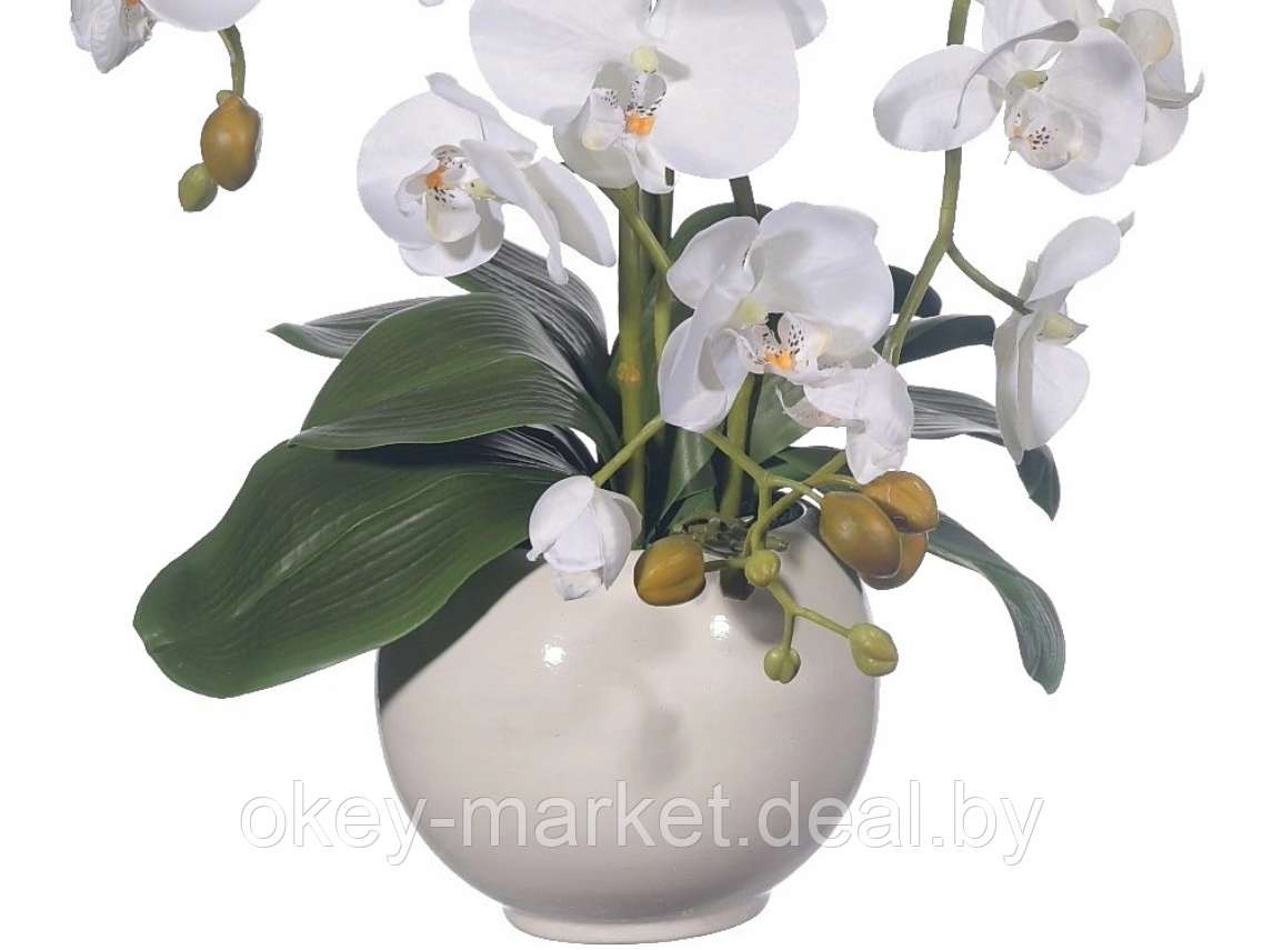 Цветочная композиция из орхидей в горшке R-102 - фото 7 - id-p145362242