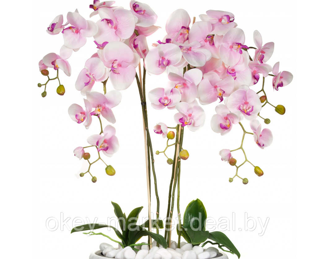 Цветочная композиция из орхидей в горшке 120см - фото 3 - id-p145365073