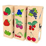 Съедобное-несъедобное - набор кубиков, фото 3