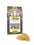 Порошок Трифала (Triphala Powder organic) Золото Индии, 100 г, фото 2