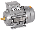 Электродвигатели переменного тока АИР 63B2 0,55/3000, фото 5