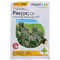 Ракурс, Avgust, 4 мл, от болезней хвойных растений