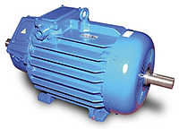 Электродвигатель крановый МТН 112-6 (5 кВт/915 об/мин)