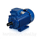 Электродвигатель АИР 225М6 37/1000, фото 5