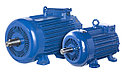 Электродвигатель крановый МТН 411-6 (22 кВт/960 об/мин), фото 2