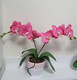 Орхидея розовая в горшочке (искусственный цветок), фото 2