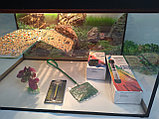 Аква-террариум  40 л прямоугольный  для черепах цвет  ВЕНГЕ (в комплекте с оборудованием), фото 3