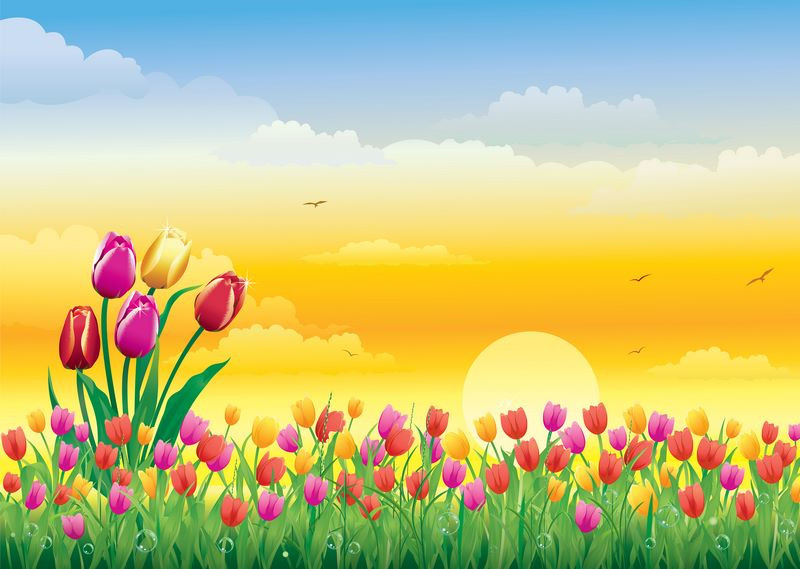Детский фотообои тюльпаны, солнце, небо, красные маки, небо, цветы, зеленая трава