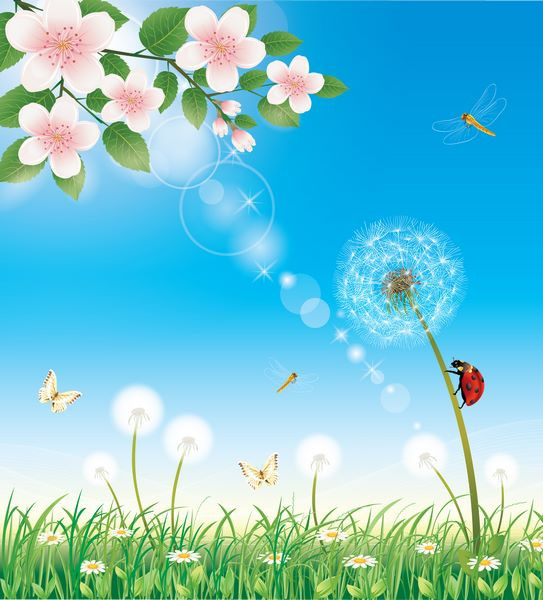 Детский фотообои цветы, одуванчик, солнце, небо, бабочки, зеленая трава