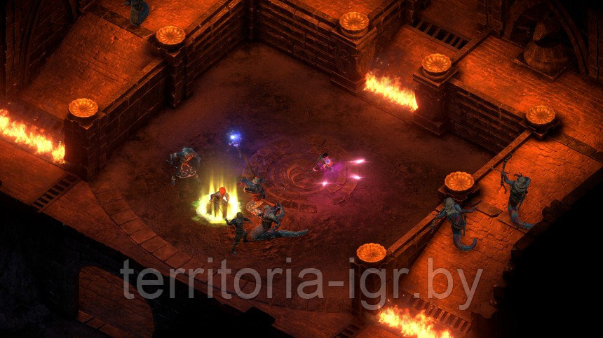 Pillars of Eternity II: Deadfire. Ultimate Edition PS4 (Русские субтитры) - фото 5 - id-p145714299