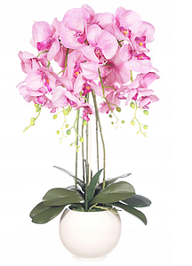 Цветочная композиция из орхидей в кашпо 65 см,  5 веток , R-301-5