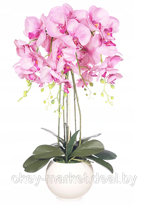 Цветочная композиция из орхидей в горшке R-601, фото 2