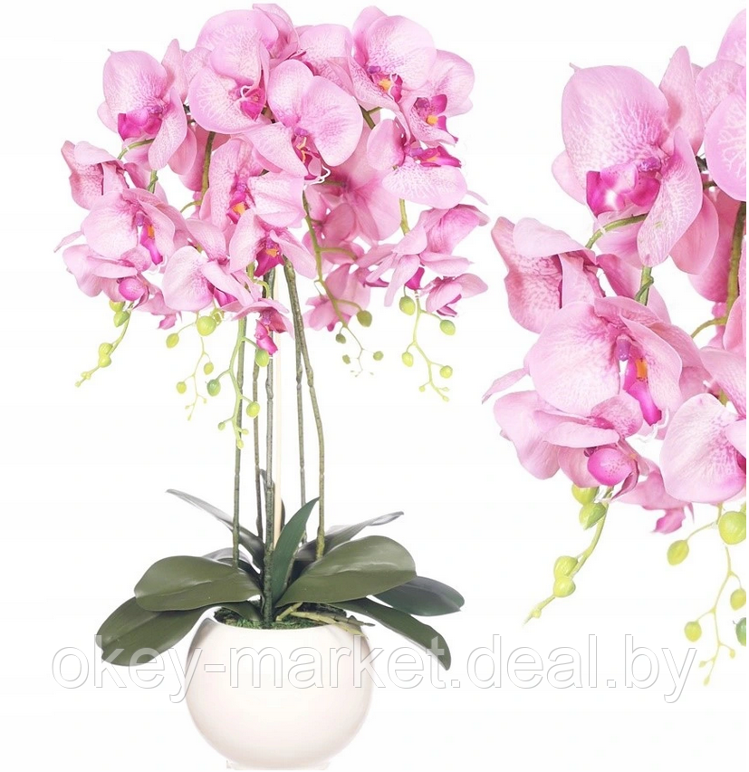 Цветочная композиция из орхидей в горшке R-601 - фото 3 - id-p145780746