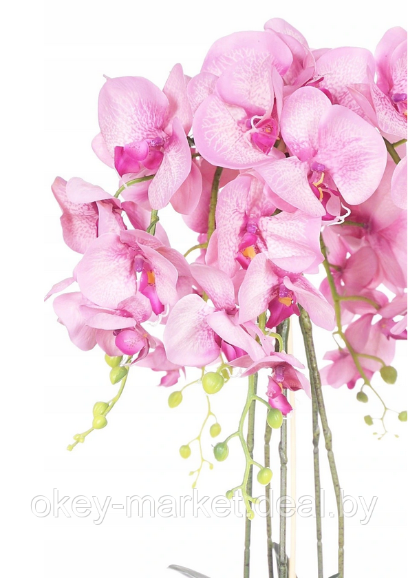 Цветочная композиция из орхидей в горшке R-601 - фото 4 - id-p145780746