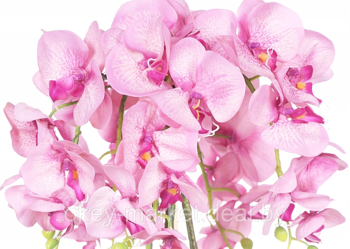 Цветочная композиция из орхидей в горшке R-601 - фото 5 - id-p145780746