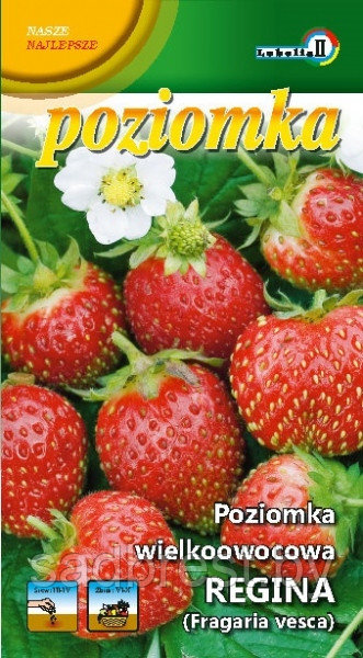 Семена Земляника Регина Lobelia II (0.2 гр) Польша